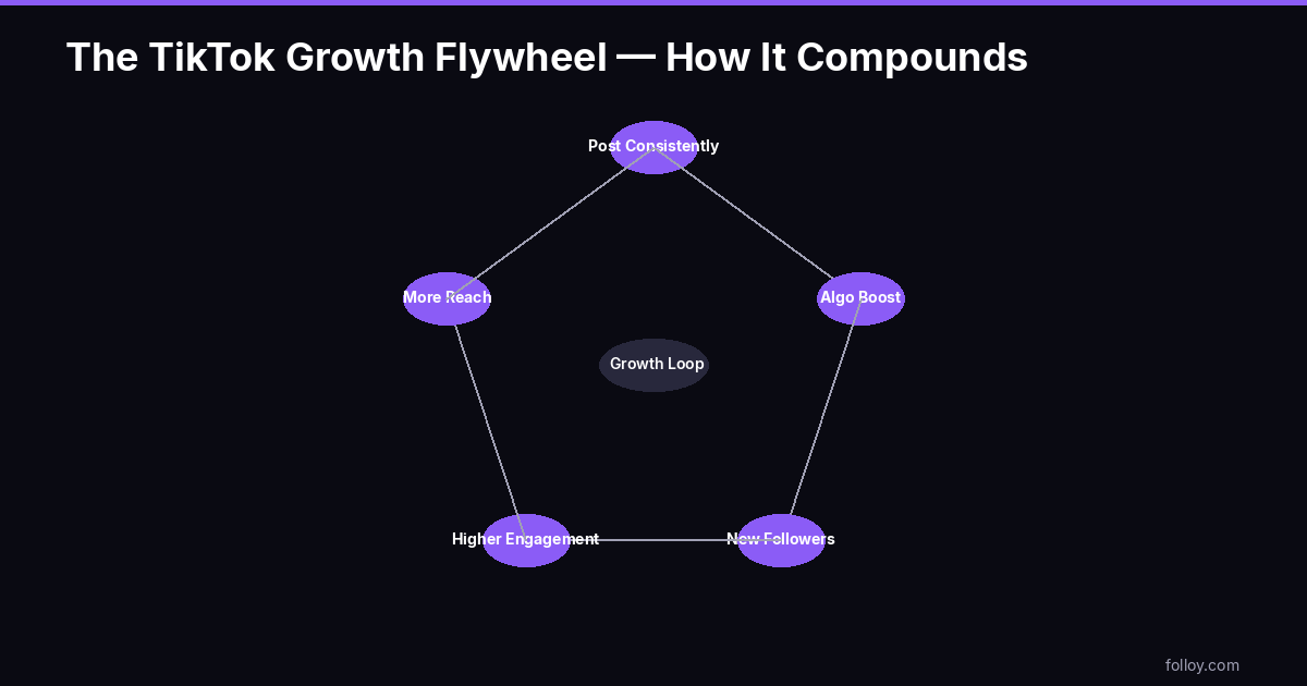 TikTok growth flywheel — how consistent posting compounds into algorithmic reach